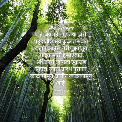 Picture 04 - मीखा 5:2 MARIRV - पण हे, बेथलहेम - Bible Verse Picture