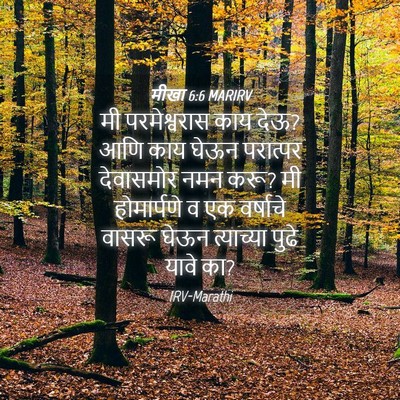 Picture 04 - मीखा 6:6 MARIRV - मी परमेश्वरास काय - Bible Verse Picture