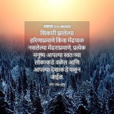 Picture 04 - यशया 13:14 MARIRV - शिकारी झालेल्या - Bible Verse Picture
