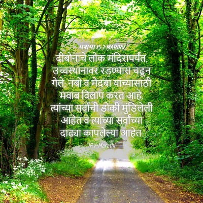 Picture 04 - यशया 15:2 MARIRV - दीबोनाचे लोक - Bible Verse Picture