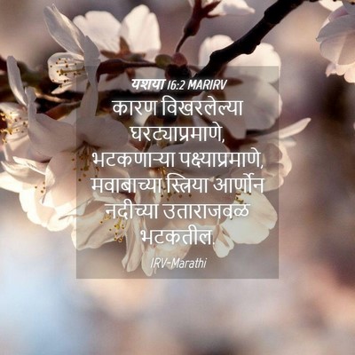 Picture 04 - यशया 16:2 MARIRV - कारण विखरलेल्या - Bible Verse Picture
