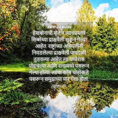 Picture 04 - यशया 16:8 MARIRV - हेशबोनाची शेते व - Bible Verse Picture