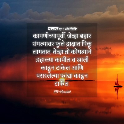 Picture 04 - यशया 18:5 MARIRV - कापणीच्यापूर्वी, - Bible Verse Picture