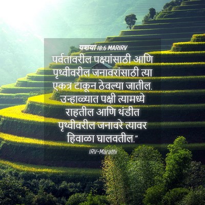 Picture 04 - यशया 18:6 MARIRV - पर्वतावरील - Bible Verse Picture