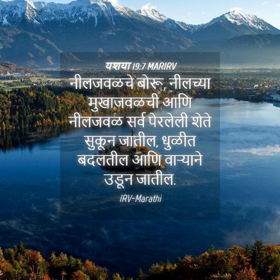 Picture 04 - यशया 19:7 MARIRV - नीलजवळचे बोरू, - Bible Verse Picture