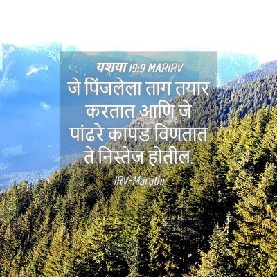 Picture 04 - यशया 19:9 MARIRV - जे पिंजलेला ताग - Bible Verse Picture