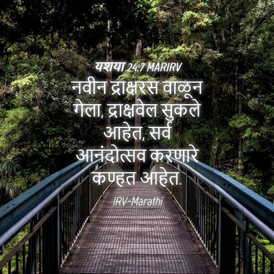 Picture 04 - यशया 24:7 MARIRV - नवीन द्राक्षरस - Bible Verse Picture