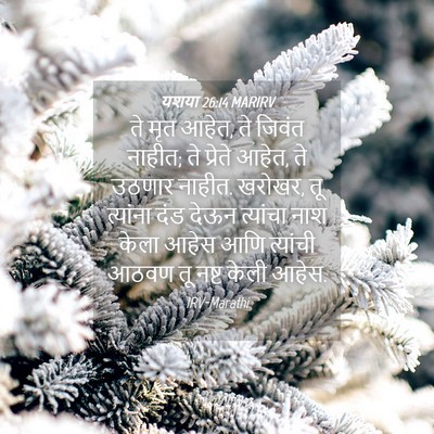 Picture 04 - यशया 26:14 MARIRV - ते मृत आहेत, ते - Bible Verse Picture