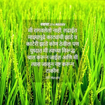 Picture 04 - यशया 27:4 MARIRV - मी रागवलेलो नाही, - Bible Verse Picture