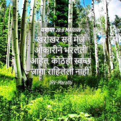 Picture 04 - यशया 28:8 MARIRV - खरोखर सर्व मेजे - Bible Verse Picture