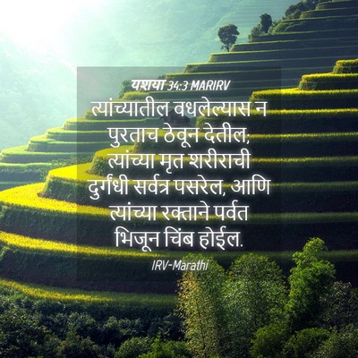 Picture 04 - यशया 34:3 MARIRV - त्यांच्यातील - Bible Verse Picture