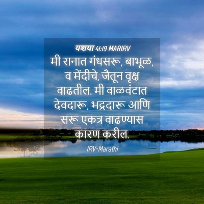 Picture 04 - यशया 41:19 MARIRV - मी रानात गंधसरू, - Bible Verse Picture
