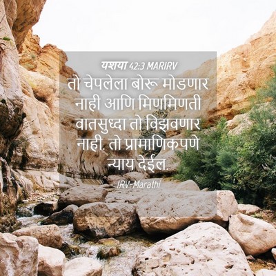 Picture 04 - यशया 42:3 MARIRV - तो चेपलेला बोरू - Bible Verse Picture