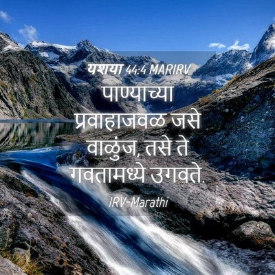 Picture 04 - यशया 44:4 MARIRV - पाण्याच्या - Bible Verse Picture