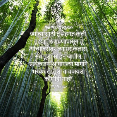 Picture 04 - यशया 47:15 MARIRV - ज्यांच्यासाठी तू - Bible Verse Picture