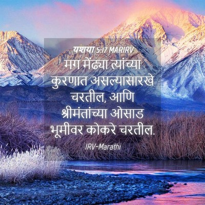 Picture 04 - यशया 5:17 MARIRV - मग मेंढ्या - Bible Verse Picture