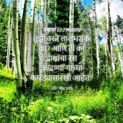 Picture 04 - यशया 63:2 MARIRV - तुझी वस्त्रे - Bible Verse Picture