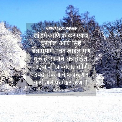 Picture 04 - यशया 65:25 MARIRV - लांडगे आणि कोकरे - Bible Verse Picture