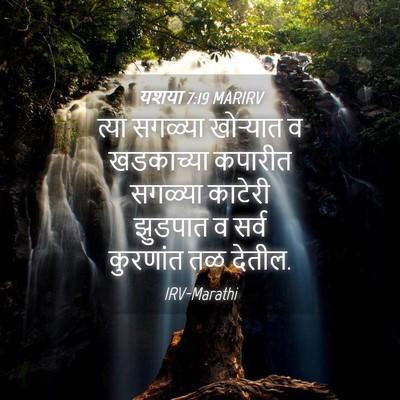 Picture 04 - यशया 7:19 MARIRV - त्या सगळ्या - Bible Verse Picture