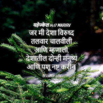 Picture 04 - यहेज्केल 14:17 MARIRV - जर मी देशा विरुध्द - Bible Verse Picture
