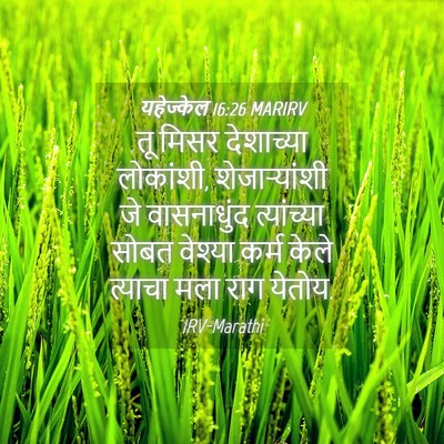 Picture 04 - यहेज्केल 16:26 MARIRV - तू मिसर देशाच्या - Bible Verse Picture