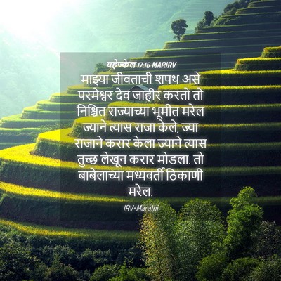 Picture 04 - यहेज्केल 17:16 MARIRV - माझ्या जीवताची - Bible Verse Picture