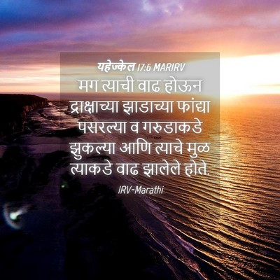 Picture 04 - यहेज्केल 17:6 MARIRV - मग त्याची वाढ होऊन - Bible Verse Picture
