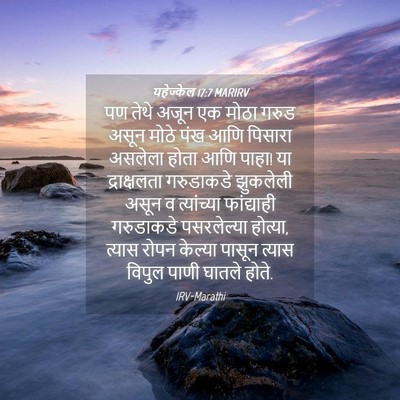 Picture 04 - यहेज्केल 17:7 MARIRV - पण तेथे अजून एक - Bible Verse Picture