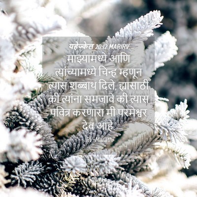 Picture 04 - यहेज्केल 20:12 MARIRV - माझ्यामध्ये आणि - Bible Verse Picture