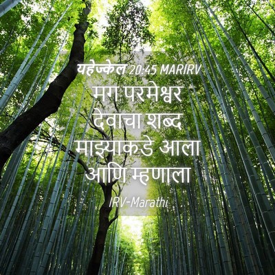 Picture 04 - यहेज्केल 20:45 MARIRV - मग परमेश्वर - Bible Verse Picture