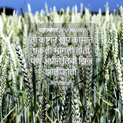 Picture 04 - यहेज्केल 24:12 MARIRV - ती कष्टाने खूप - Bible Verse Picture