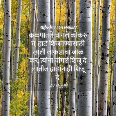 Picture 04 - यहेज्केल 24:5 MARIRV - कळपातले चांगले - Bible Verse Picture