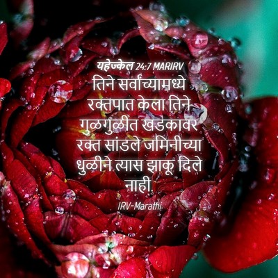 Picture 04 - यहेज्केल 24:7 MARIRV - तिने - Bible Verse Picture