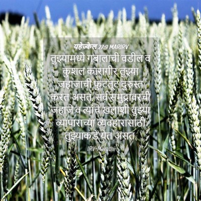 Picture 04 - यहेज्केल 27:9 MARIRV - तुझ्यामध्ये - Bible Verse Picture