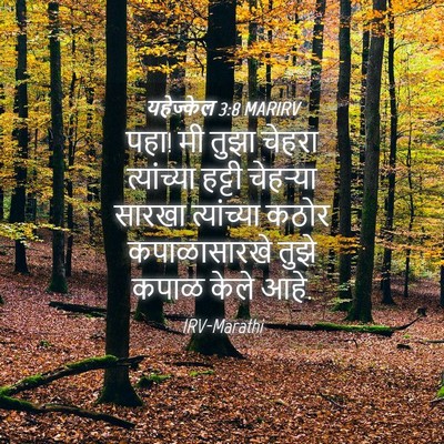 Picture 04 - यहेज्केल 3:8 MARIRV - पहा! मी तुझा चेहरा - Bible Verse Picture