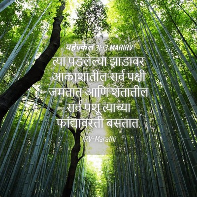 Picture 04 - यहेज्केल 31:13 MARIRV - त्या पडलेल्या - Bible Verse Picture