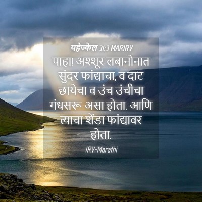 Picture 04 - यहेज्केल 31:3 MARIRV - पाहा! अश्शूर - Bible Verse Picture