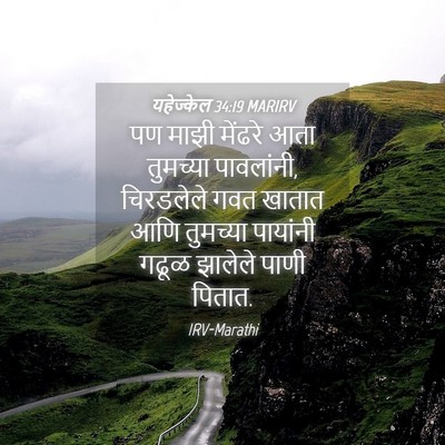 Picture 04 - यहेज्केल 34:19 MARIRV - पण माझी मेंढरे आता - Bible Verse Picture
