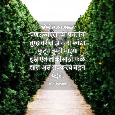 Picture 04 - यहेज्केल 36:8 MARIRV - “पण इस्राएलाच्या - Bible Verse Picture