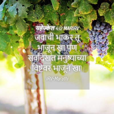 Picture 04 - यहेज्केल 4:12 MARIRV - जवाची भाकर तू - Bible Verse Picture