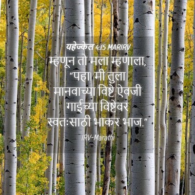 Picture 04 - यहेज्केल 4:15 MARIRV - म्हणून तो मला - Bible Verse Picture