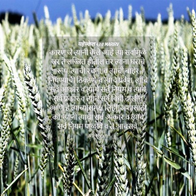 Picture 04 - यहेज्केल 43:11 MARIRV - कारण जे त्यांनी - Bible Verse Picture