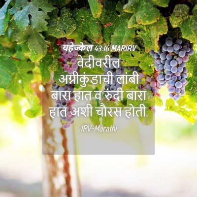 Picture 04 - यहेज्केल 43:16 MARIRV - वेदीवरील - Bible Verse Picture