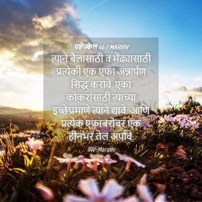 Picture 04 - यहेज्केल 46:7 MARIRV - त्याने बैलासाठी व - Bible Verse Picture