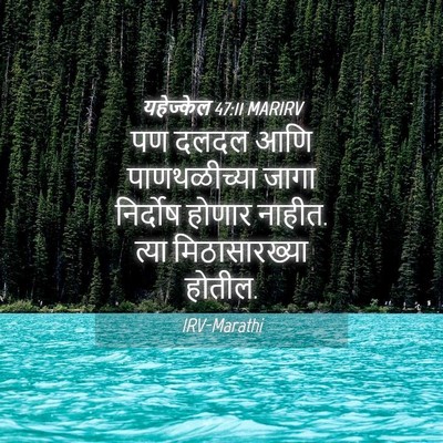 Picture 04 - यहेज्केल 47:11 MARIRV - पण दलदल आणि - Bible Verse Picture