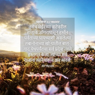 Picture 04 - यहोशवा 11:17 MARIRV - तसेच सेईरच्या - Bible Verse Picture