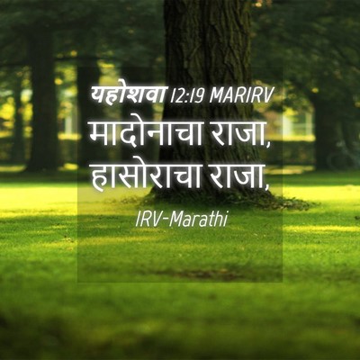 Picture 04 - यहोशवा 12:19 MARIRV - मादोनाचा राजा, - Bible Verse Picture
