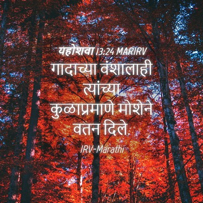 Picture 04 - यहोशवा 13:24 MARIRV - गादाच्या वंशालाही - Bible Verse Picture