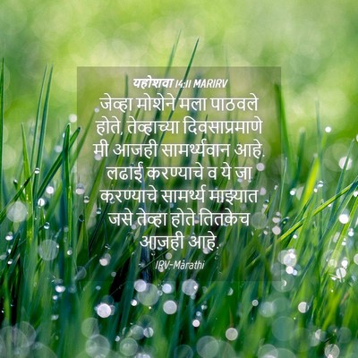 Picture 04 - यहोशवा 14:11 MARIRV - जेव्हा मोशेने मला - Bible Verse Picture