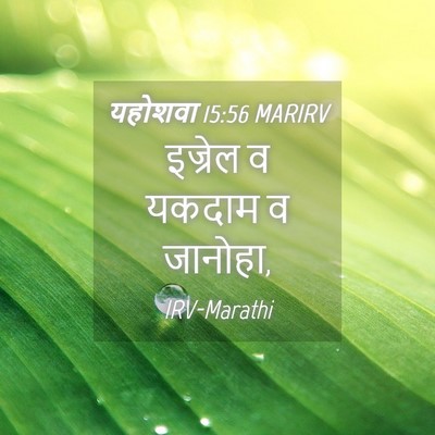 Picture 04 - यहोशवा 15:56 MARIRV - इज्रेल व यकदाम व - Bible Verse Picture